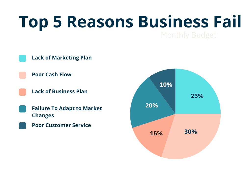 A Graph displaying the five biggest reasons business fail. 