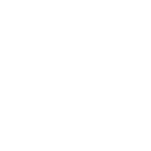 Reisinger Strategies Group