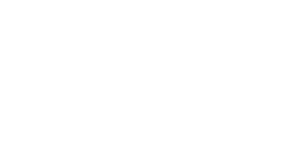 Reisinger Strategies Group Logo with white letters
